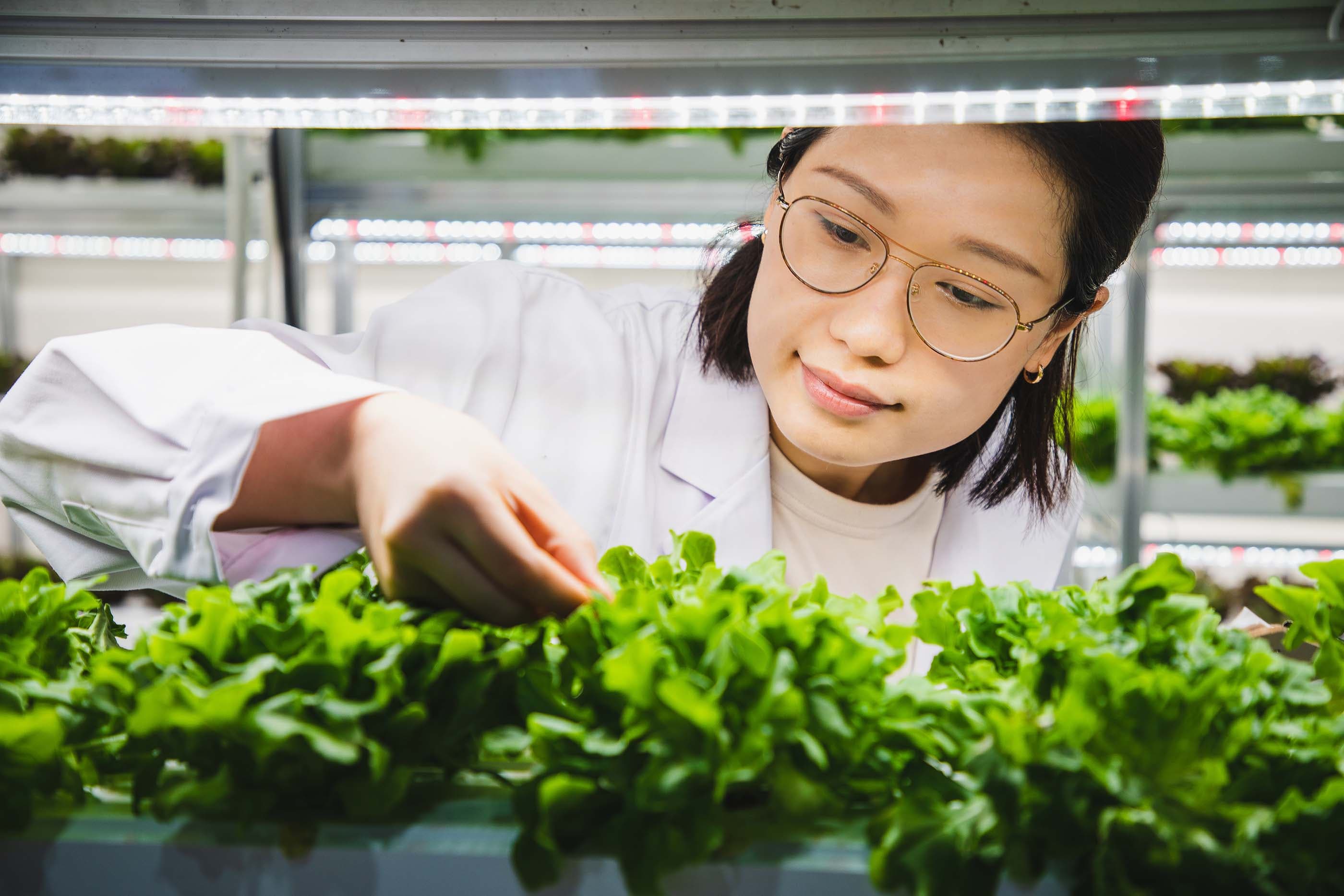 Serving up agri-food innovation in Singapore