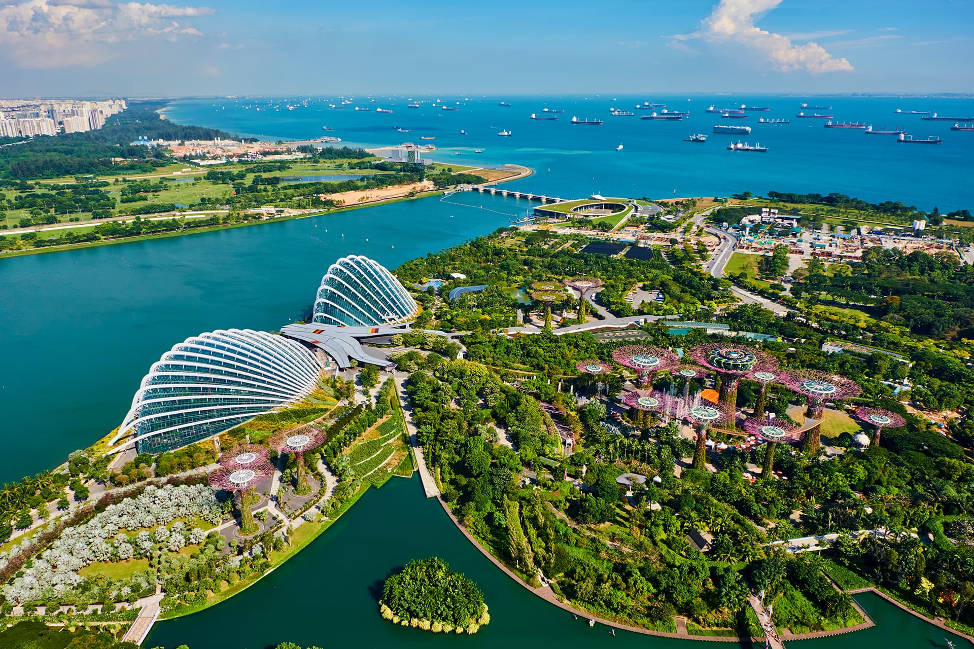 How Singapore is accelerating the green transition in south-east Asia